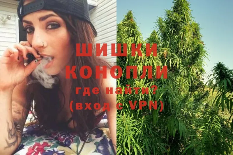 купить   Коломна  Каннабис White Widow 